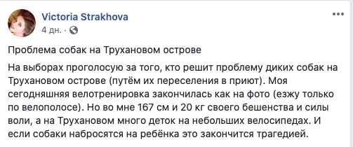 У Києві дикі собаки покусали радницю голови ОП Єрмака (Фото)