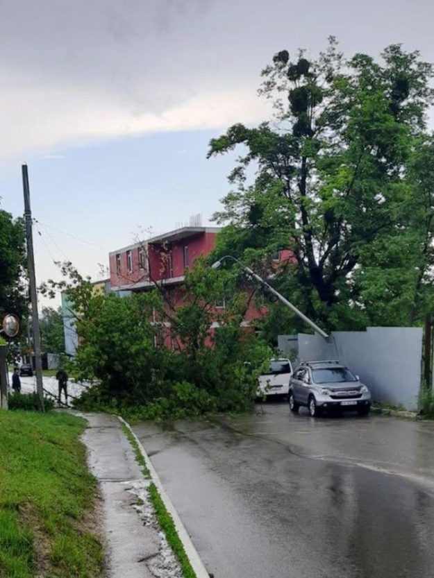 Ураган у Києві масово повалив дерева у різних районах (Фото)