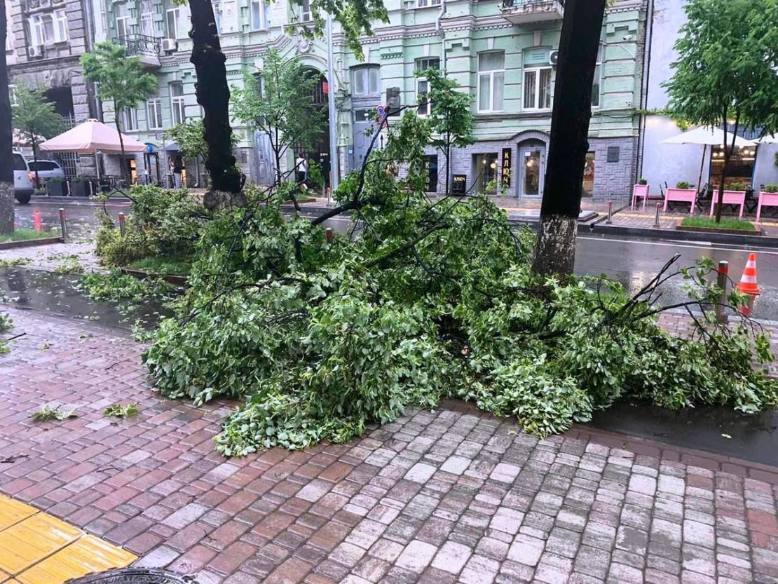 Ураган у Києві масово повалив дерева у різних районах (Фото)