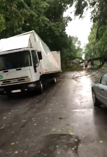 На Київщині негода знеструмила села та паралізувала рух (Фото)