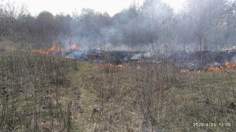 На Київщині палає Обухівський район: пожежі кожен день (Фото)