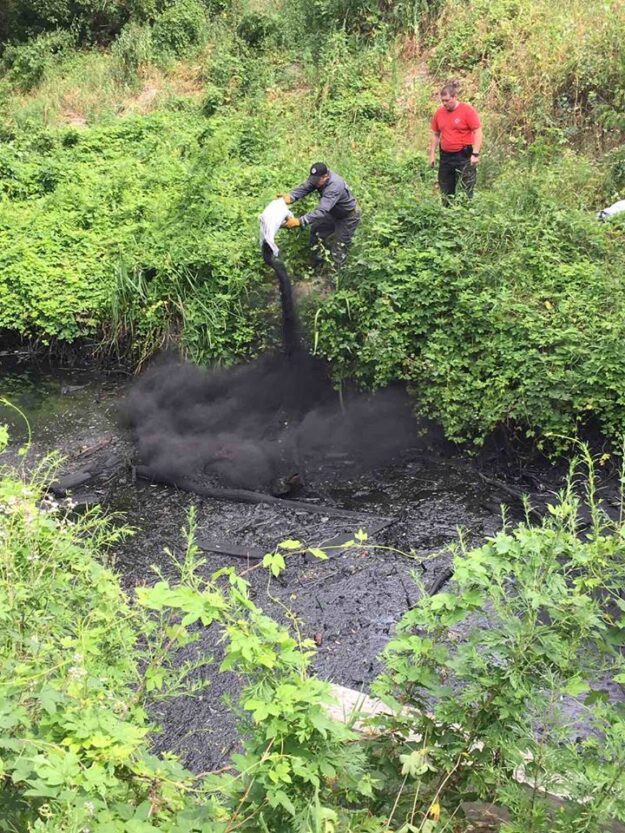 У Києві озеро Плесо на Оболоні забруднили мазутом (Фото) 