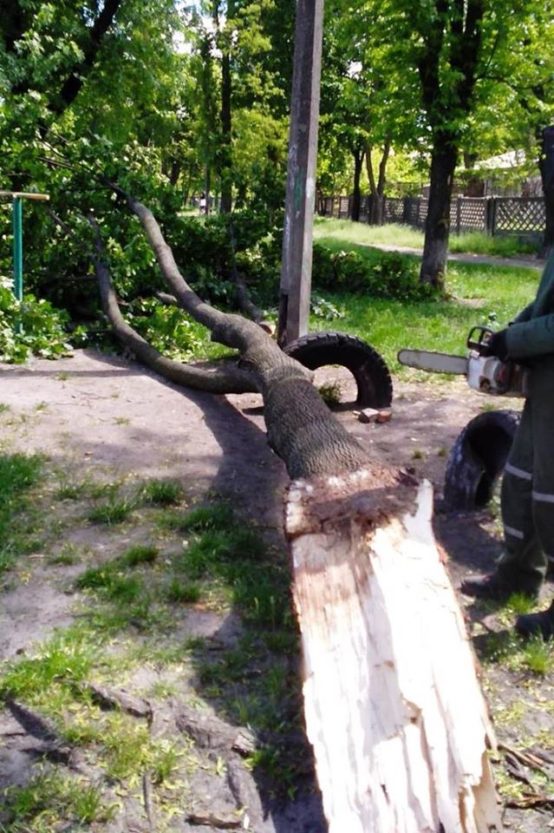 Ураганний вітер повалив десятки дерев у Києві (Фото)